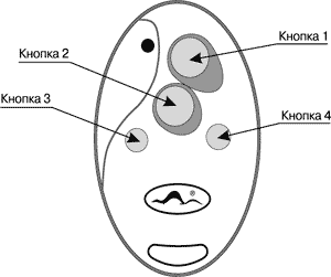 Рис. 1