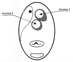 Рис 3