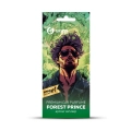 Ароматизатор картонный GRASS Prince of forrest AC-0202