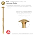 Конструкционный саморез ЗУБР КС-Т 100 х 6.0 мм TX30 тарельчатая головка желтый цинк 100 шт