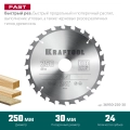 Пильный диск по дереву KRAFTOOL Fast, 250 х 30 мм, 24Т